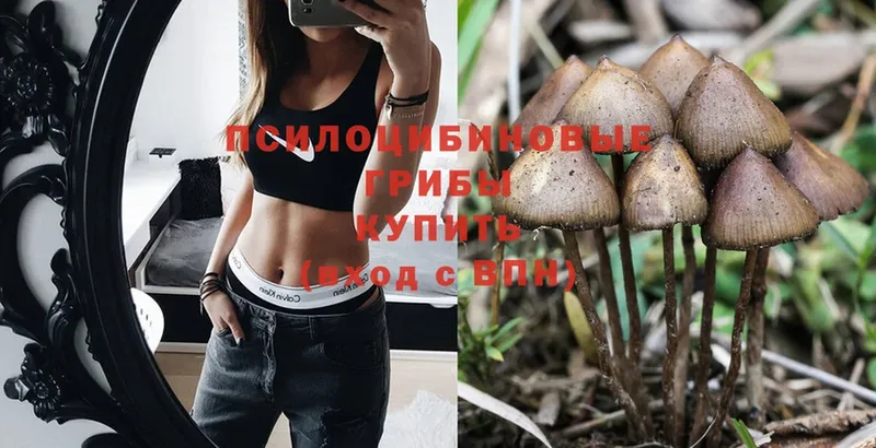 Галлюциногенные грибы MAGIC MUSHROOMS  Лабытнанги 